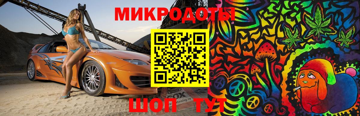 Галлюциногенные грибы Psilocybine cubensis Новоалександровск