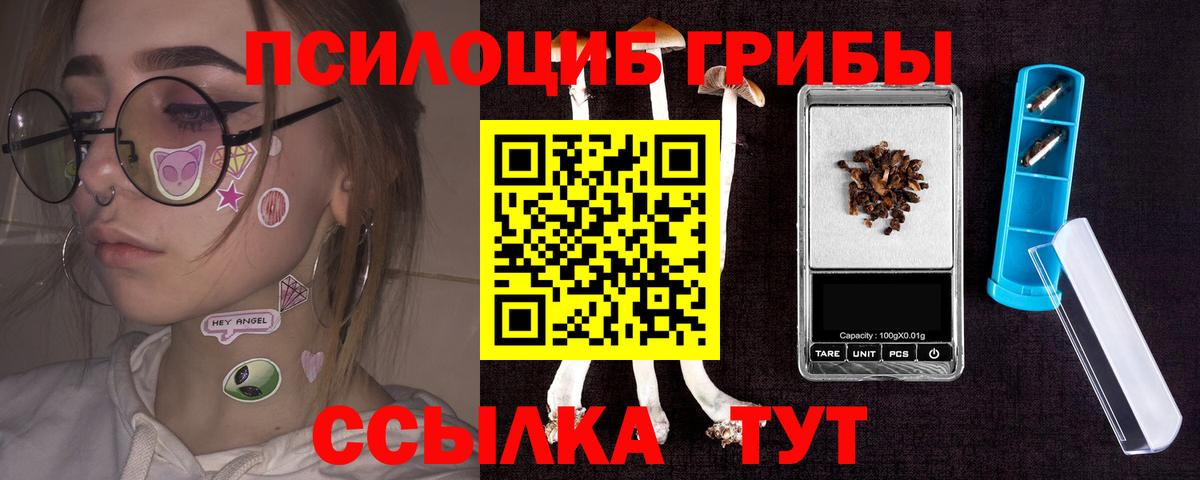 Новоалександровск  Галлюциногенные грибы GOLDEN TEACHER  Вход с VPN 